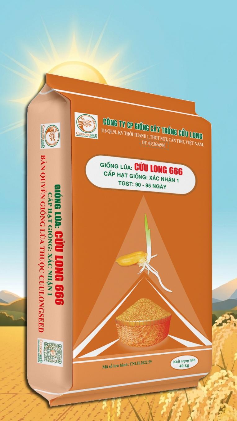 Giống lúa Cửu Long 666