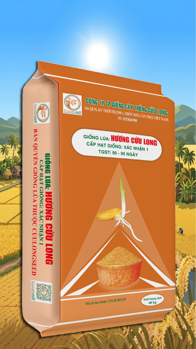 Giống lúa Hương Cửu Long