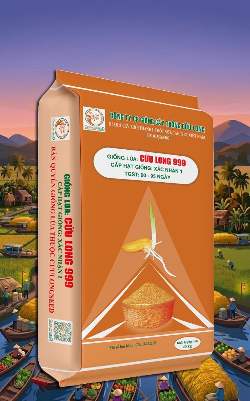 Giống lúa Cửu Long 999